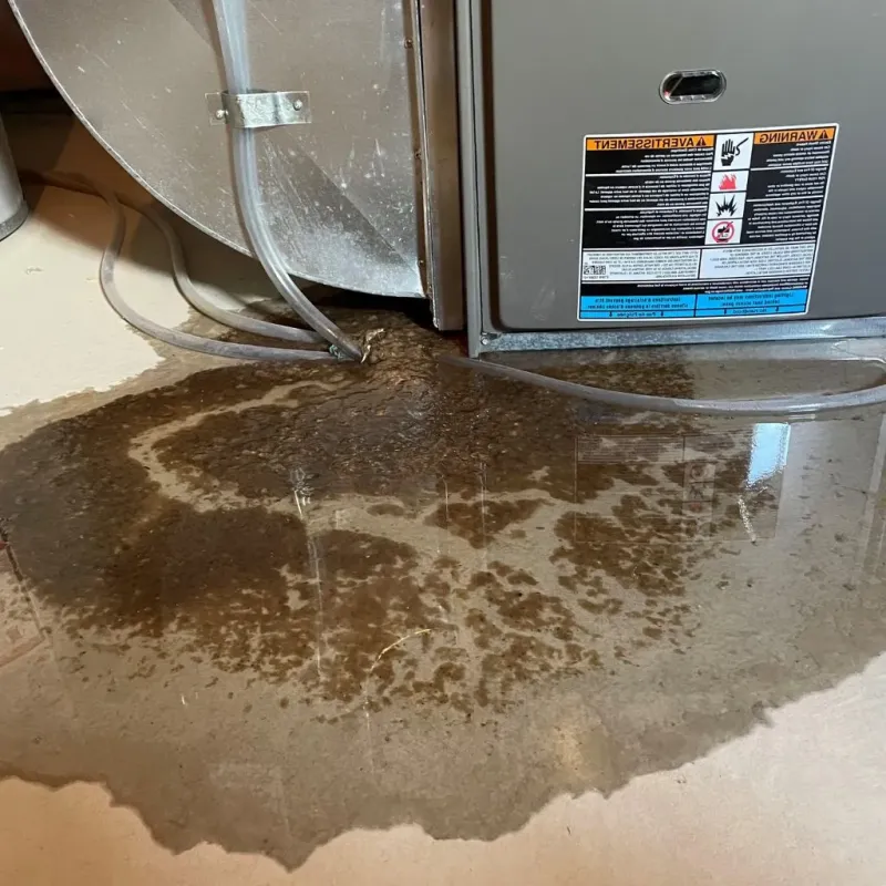 Pipe Burst and Leak Restoration in Ashburnham, MA