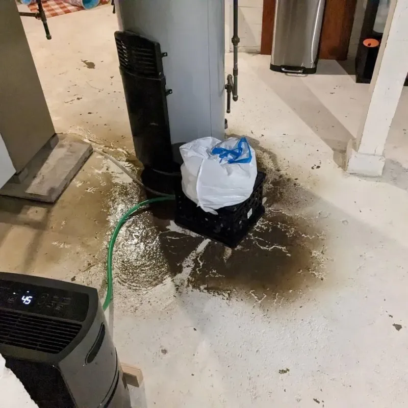 Sewage Backup Cleanup Service in Ashburnham, MA
